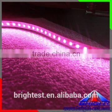 2835 12V LED Strip 120led/m Pink Color
