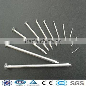 Electro/hot dipped galvanized Common Nails with good quality(factory&ISO9001)