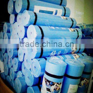 EVA camping mat with competitive price