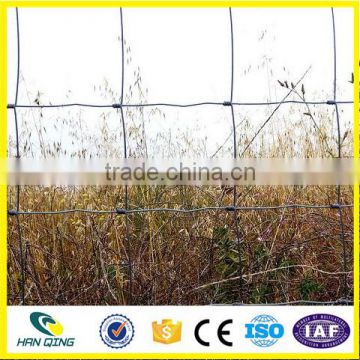 2.5mm wire diameter with 30cm weft opening galvanized cattle fencing