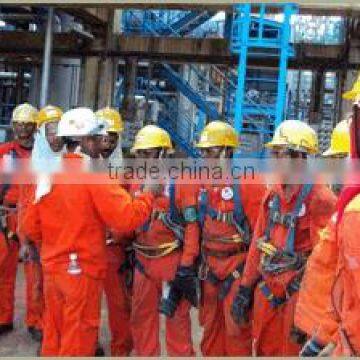 Manpower Services photo-2