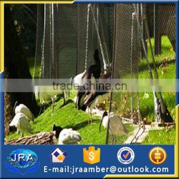 Aviary Mesh /bird Aviary Cable Net /aviary Bird Netting photo-4
