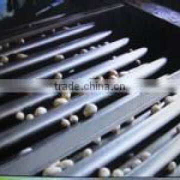 Tomato Washing and Grading Machine photo-5