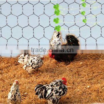 Hot sale cheap Chicken coop hexagonal wire mesh (anping factory)