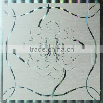 PVC Ceiling Panel (RPV336-1)