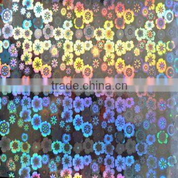 3D PET Holographic Film
