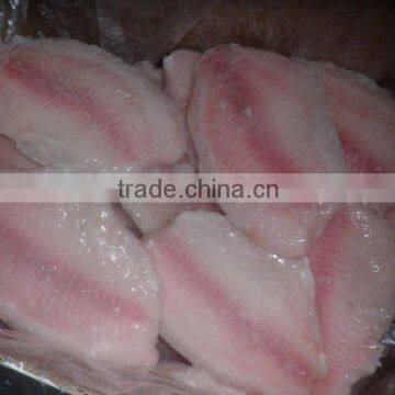 Frozen Fish Tilapia Fillet