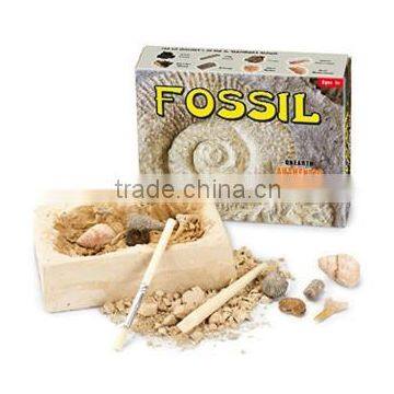 Excavation dig kit of Real Fossil