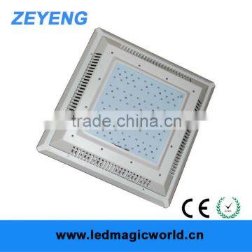 IP65 100W 200W CREE LED Warehouse Lights