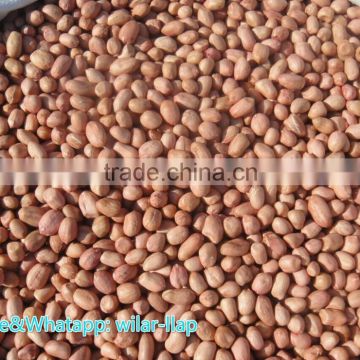 2014 Peanut kernels, Round shape, Chinese Java 40/50 , 50/60 ,60/70