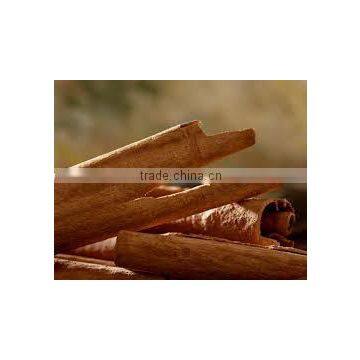 Cinnamon photo-3