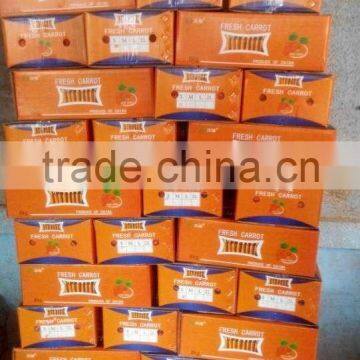 Fresh Carrot photo-4