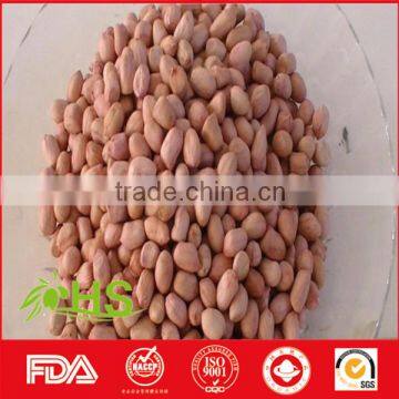 Blanched peanut kernel 50/60 60/70 70/80