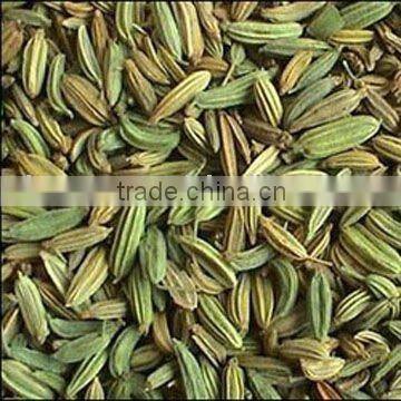 new cropl fennel seed