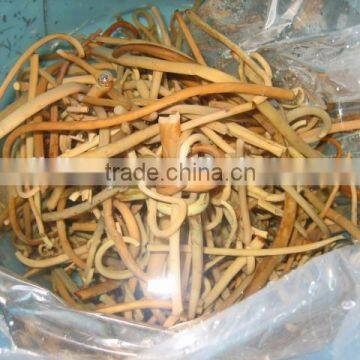 Chineses' Osmunda Cinamomea Cinamomea in Promotion Vetch Boiled Osmund Japan Osmunda Cinamomea photo-3