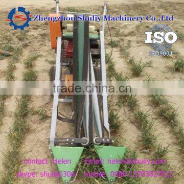 Celery Harvester Fresh Celery Harvester photo-4