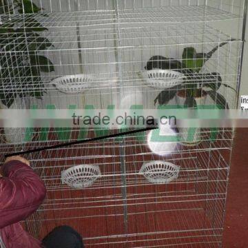 Qatar Poultry Farm Racing Pigeon Cage photo-5