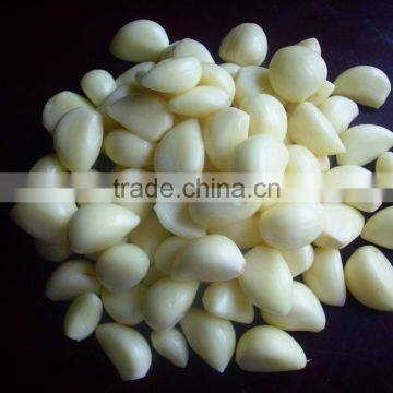 Garlic Oil, Garlic Oil Bulk, Garlic Oil Extraction photo-5