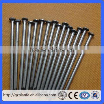 wire Carbon iron common nail/roofing and common nails manufacturer(Guangzhou Factory)