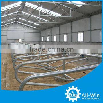 Double Side Cattle Equipment Cattle Cow Free Stall for Double Side photo-5