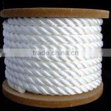 Twisted polyester rope