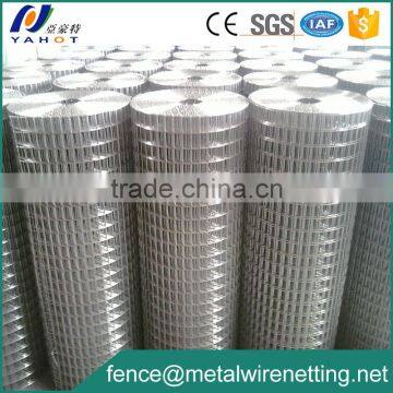 SS Welded Mesh