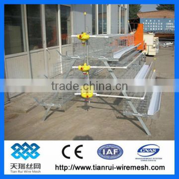 design layer chicken cages for Poultry Farm (Factory)