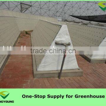 Hydroponics System for Greenhouses