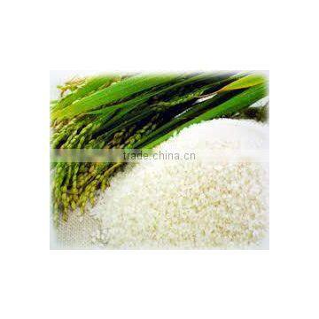 FE-06 High Speed Soybean and Rice Grinding Machine Sesame Almond Maker Peanuts Machine photo-3