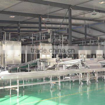 Bay Leaf Multiple Layer Continuous Type Mesh Belt Dryer photo-5