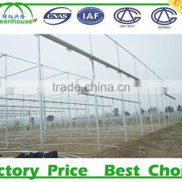 Metal Structure Greenhouse photo-5