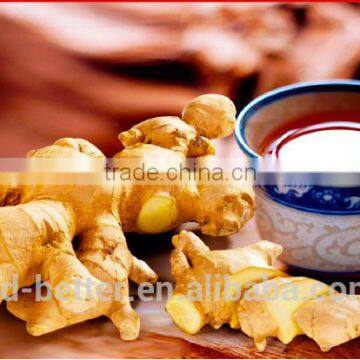 Hot Sales Instant Red Sugar Ginger Tea photo-4