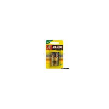 LR6 Alkaline Battery (Size AA/UM-3)