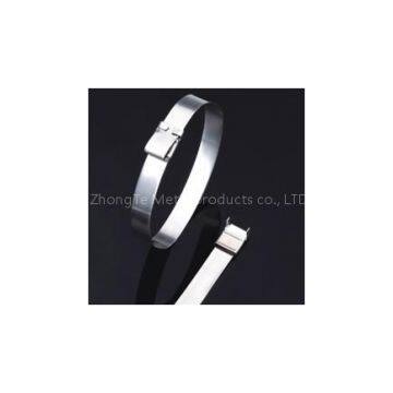 Type L Stainless Steel Ties Of Ray