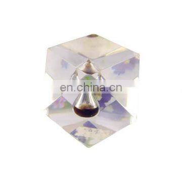 Simple Cheap Hot Selling Acrylic Resin Block Coin Paperweight