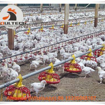 Mexico Chicken House Poultry Farm Equipment Broiler Floor Raising System & Chicken Deep Litter System with Automatic Drinking & Feeding Pan System in Chicken Coop