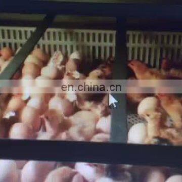 Wholesale Price Automatic Chicken Egg Incubator Hatching Machine