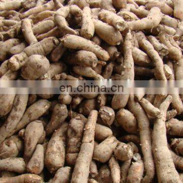 Cassava Starch Processing Machine Price /sweet Potato Starch Making Machine Line