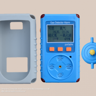 2025 China Portable Gas Alarm Detector Gas Analyzer photo-2