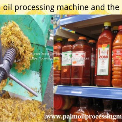 Small scale palm oil pressing machine