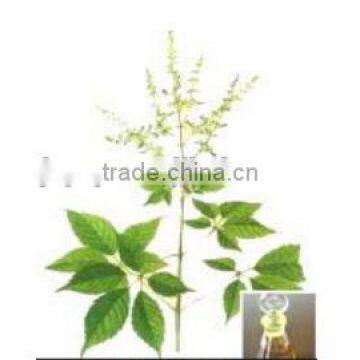 Vitex Oil