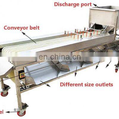 Apple Grading Machine/Potato Sorting Machine/Apple Sorting Machine. photo-3