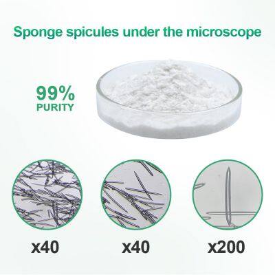 Hydrolyzed Sponge Spongilla Spicules Powder Cosmetic Ingredient photo-2