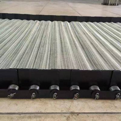 Ss Wire Mesh Conveyor New Product China Manufacturer Stainless Steel Conveyor Systems Food Industry Washinig/drying/fring