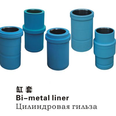 Cylinder liner