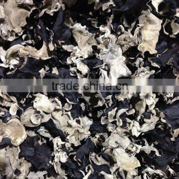 Edible Dried White Back Black Fungus Mushroom