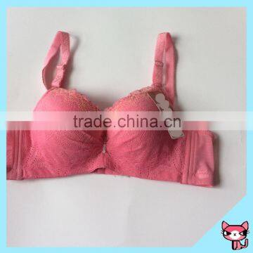 Several Small Diamond Pink Lace Lady Bra