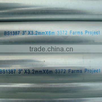 BS 1387 china manufacture carbon hot dip galvanized steel pipe