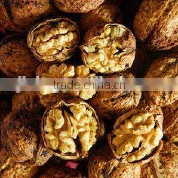 Top quality Walnut in shell and Without Shell