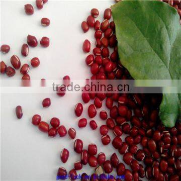 adzuki red beans